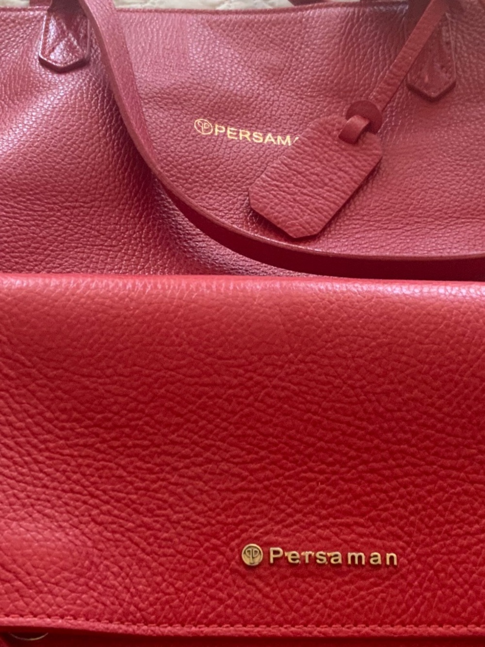 Persimmon brief case and pocketbook